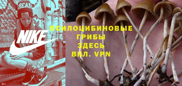 ешки Кукмор