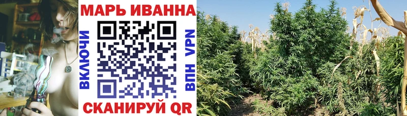 Канабис индика Наволоки